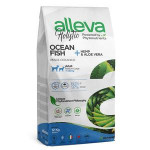 P00242-P00242 HOLISTIC-Adult-Ocean-Fish-medium_maxi-kg12_8002754002424