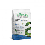 P00274H-P00274H_ALLEVA-HOLISTIC-CAT-ADULT-OCEAN-FISH-KG-1_360x_8002754002745
