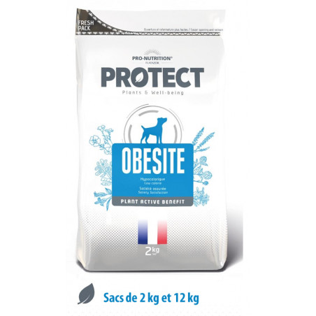 700235-Obesite
