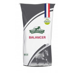 224525-Balancer
