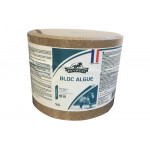 213300-Bloc algues