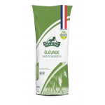 220000-Elevage
