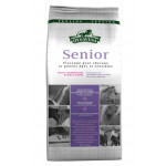 222600-Senior