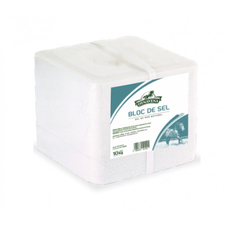 610000-Bloc de sel