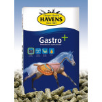 05013-Havens gastro plus