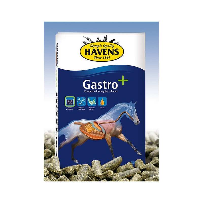 05013-Havens gastro plus