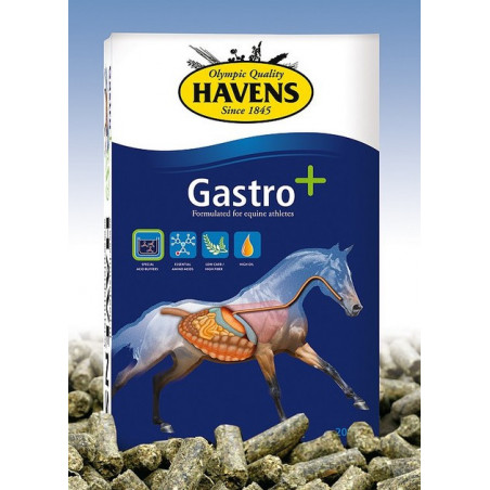 05013-Havens gastro plus